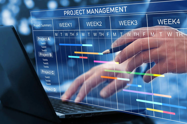 Project Management
